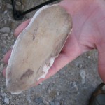 Prehistoric agate scraper, flat side