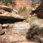 The first of many seeps in this canyon