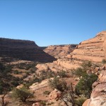 View up the canyon from the third ledge below the ruin