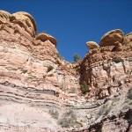 Mt. Rushmore if the presidents were tortoises