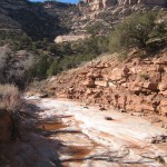 Still farther up the canyon, still trudging in powder sand, sneezing and eyes burning from sudden allergy