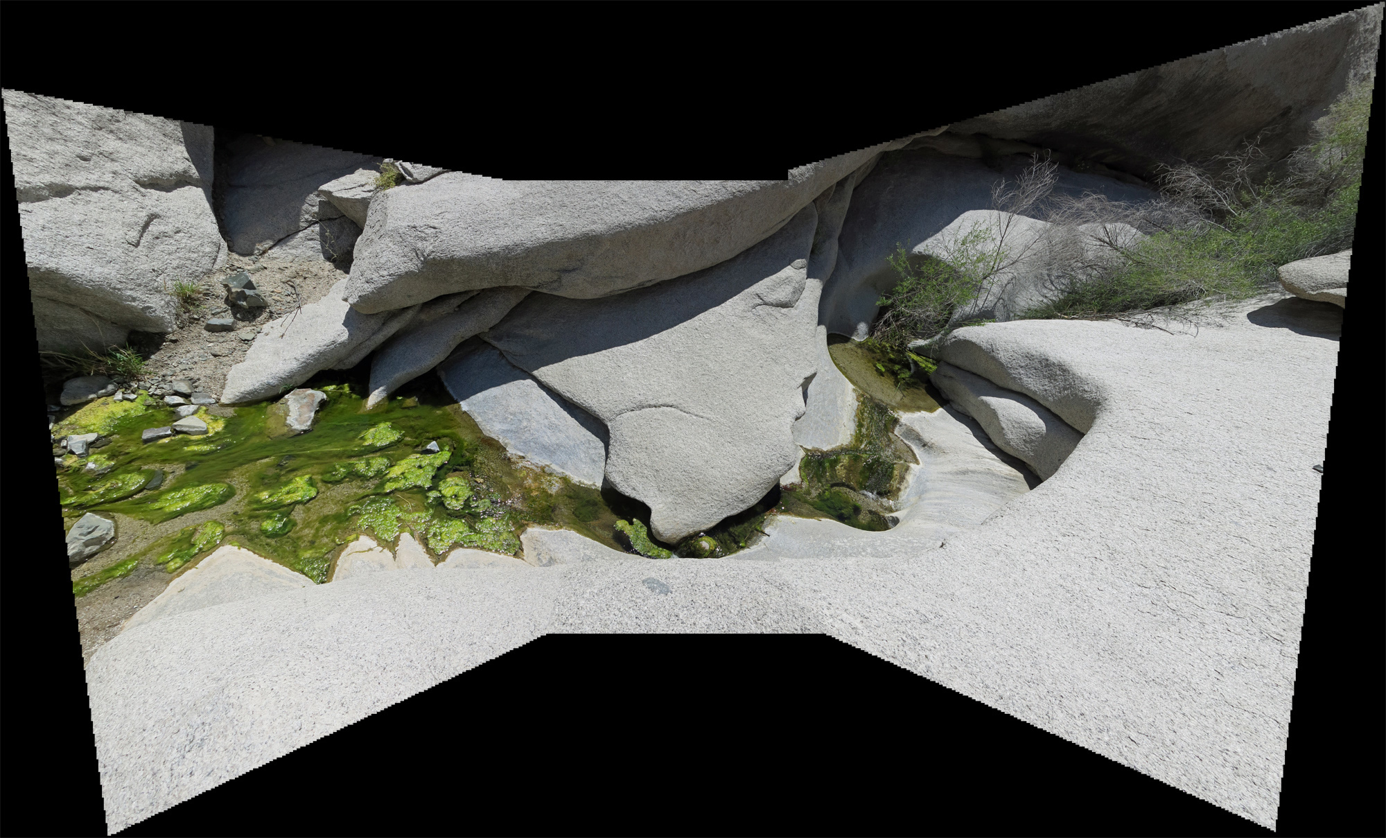 IMG_3649Pano